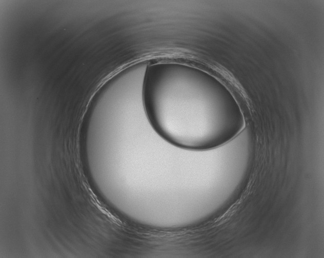 X0000084560834200702230959