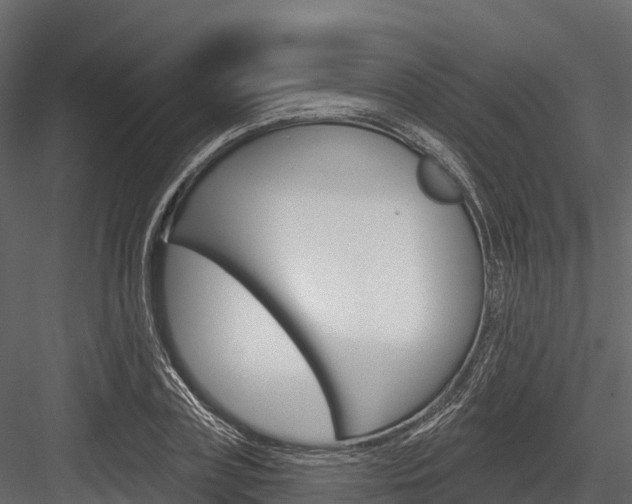 X0000084560835200702230959