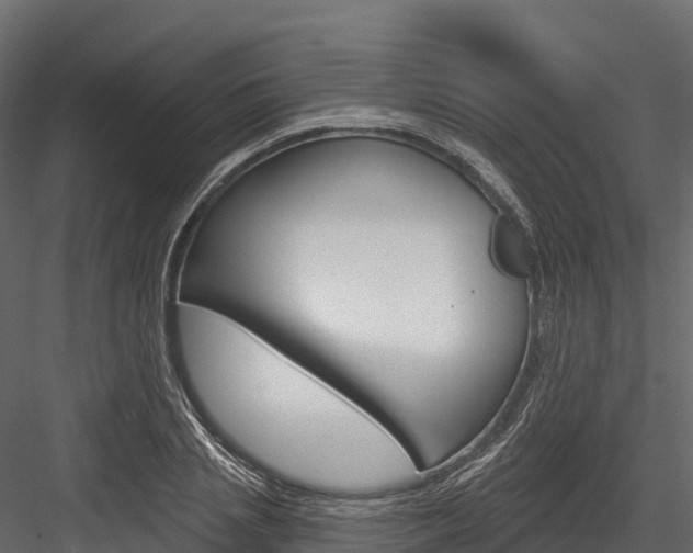 X0000084560837200702230959