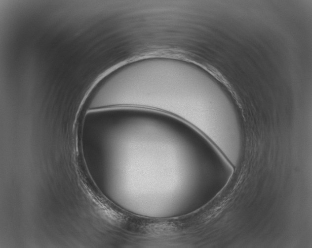 X0000084560838200702230959