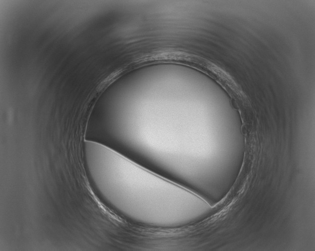 X0000084560841200702230959