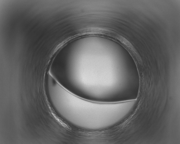 X0000084560842200702230959