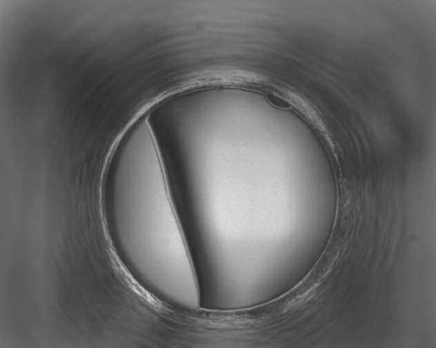 X0000084560843200702230959