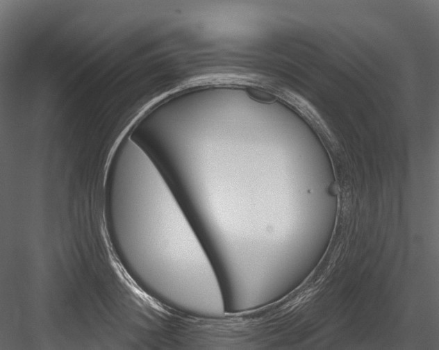 X0000084560844200702230959