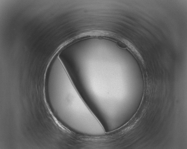 X0000084560845200702230959