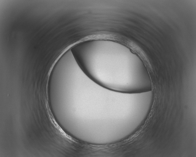 X0000084560852200702230959