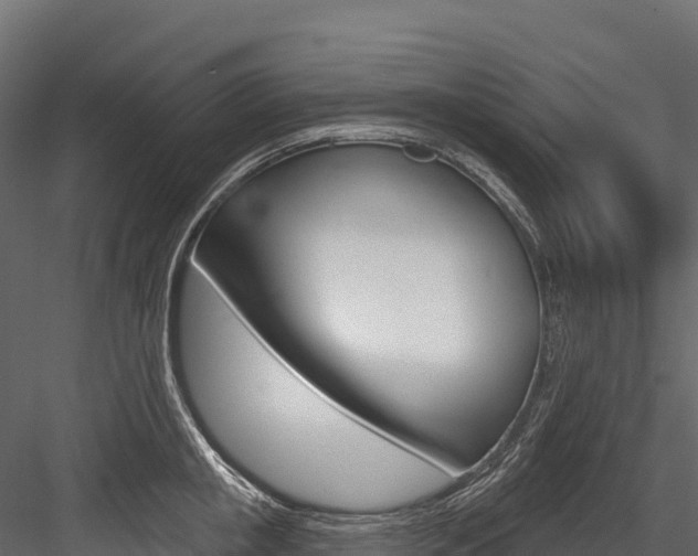 X0000084560853200702231000