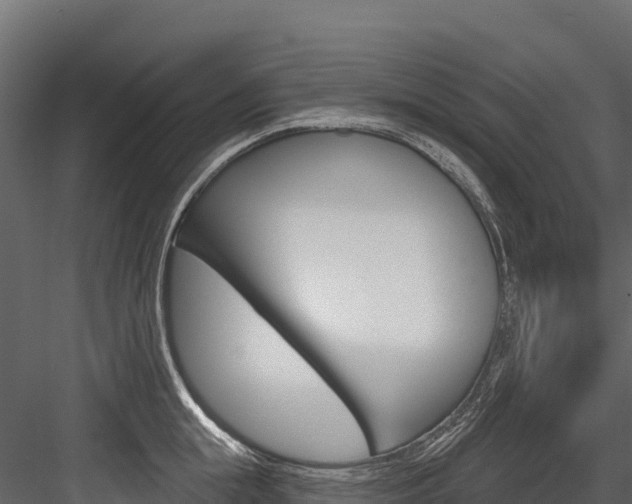 X0000084560855200702231000