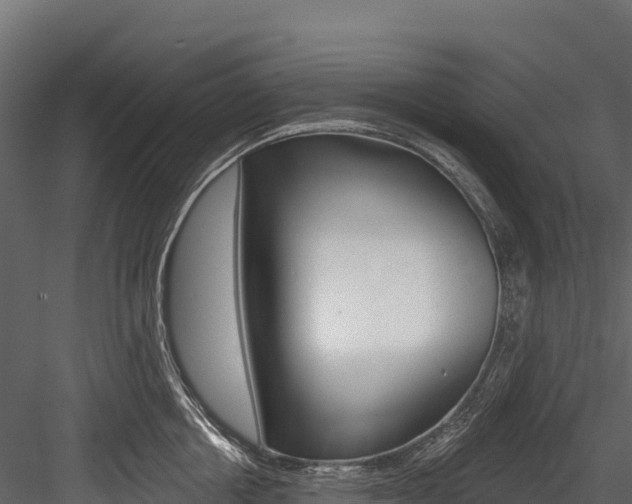 X0000084560858200702231000