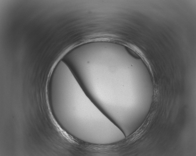 X0000084560859200702231000