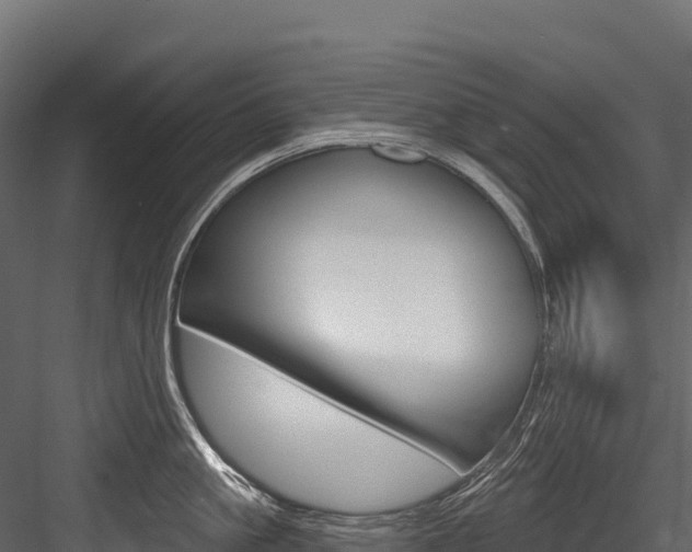 X0000084560861200702231000