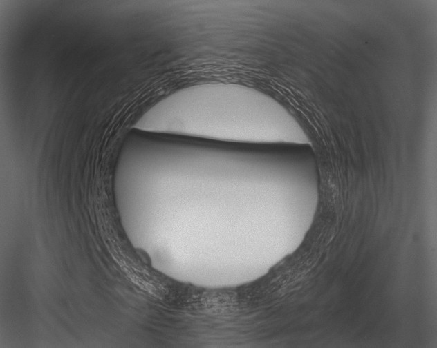 X0000084560865200702230959