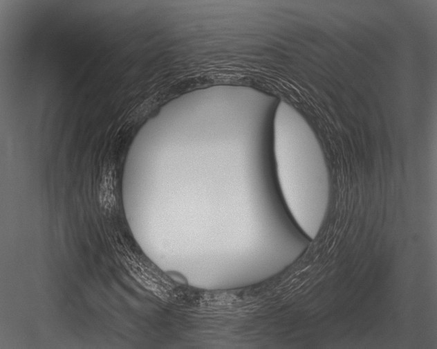 X0000084560866200702230959