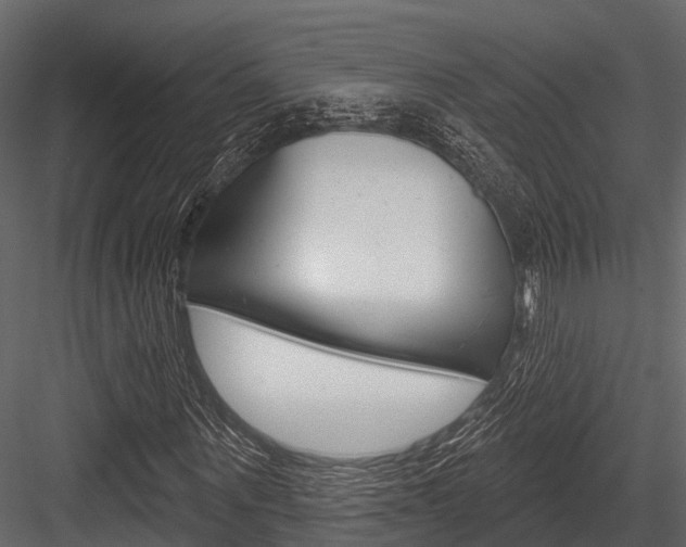 X0000084560867200702230959