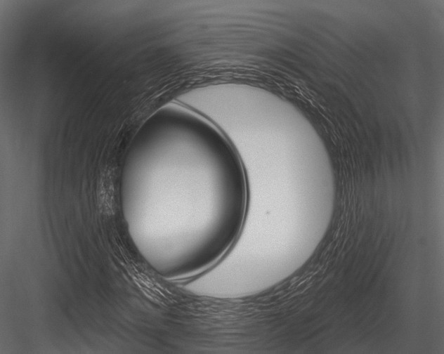 X0000084560868200702230959