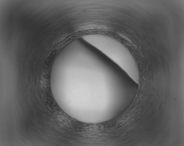 X0000084560869200702230959