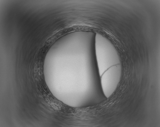 X0000084560870200702230959