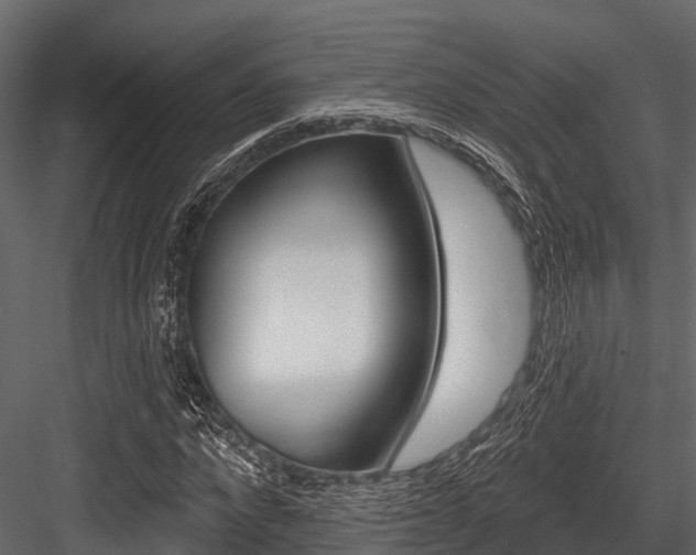 X0000084560872200702230959