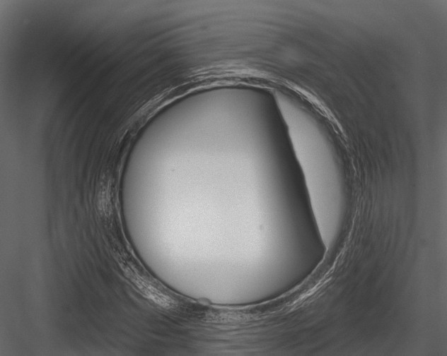 X0000084560873200702230959