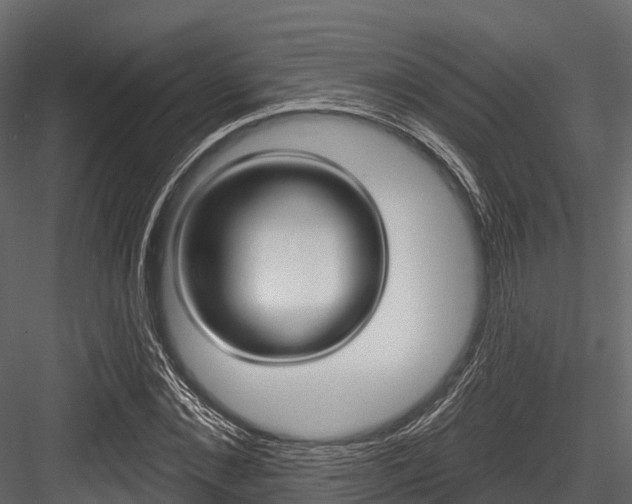 X0000084560876200702230959