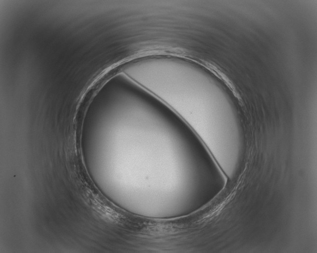 X0000084560877200702230959
