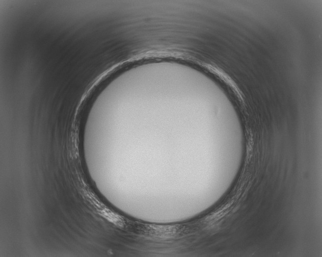 X0000084560878200702230959