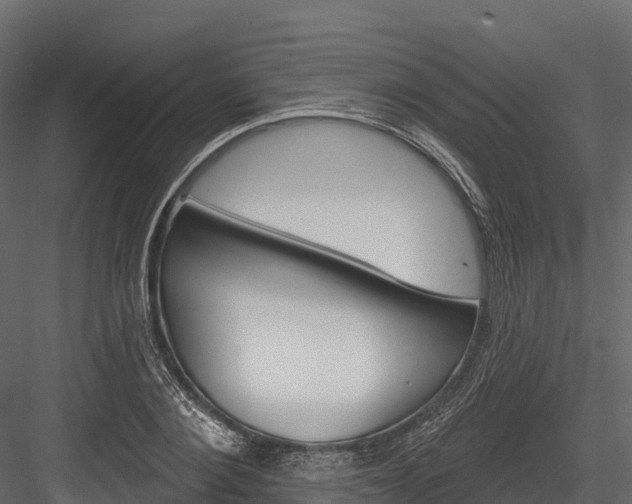 X0000084560884200702230959