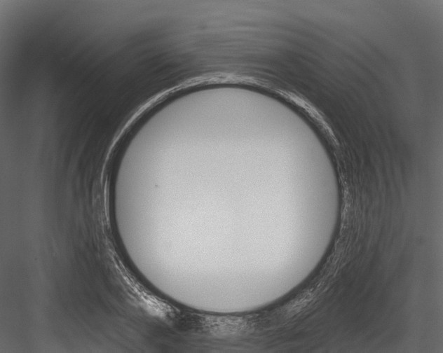 X0000084560886200702230959