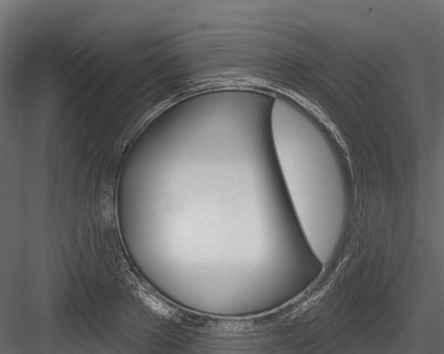 X0000084560889200702230958