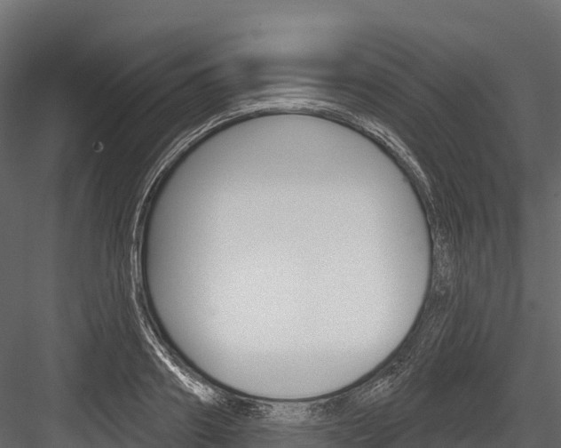X0000084560890200702230958