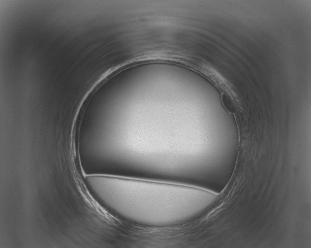 X0000084560892200702230958
