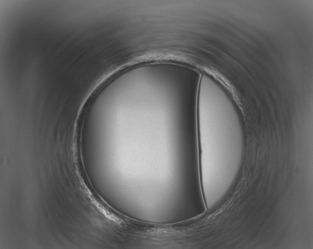 X0000084560894200702230958