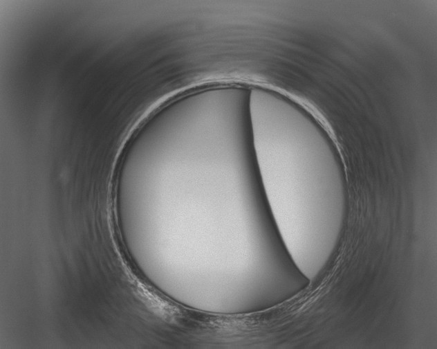 X0000084560895200702230958