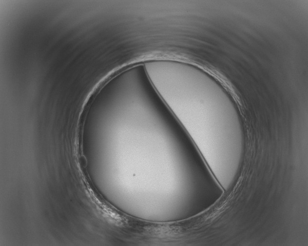 X0000084560896200702230958