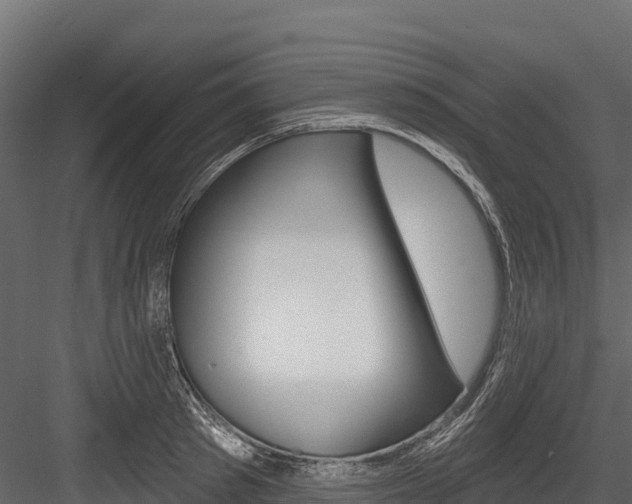 X0000084560897200702230958