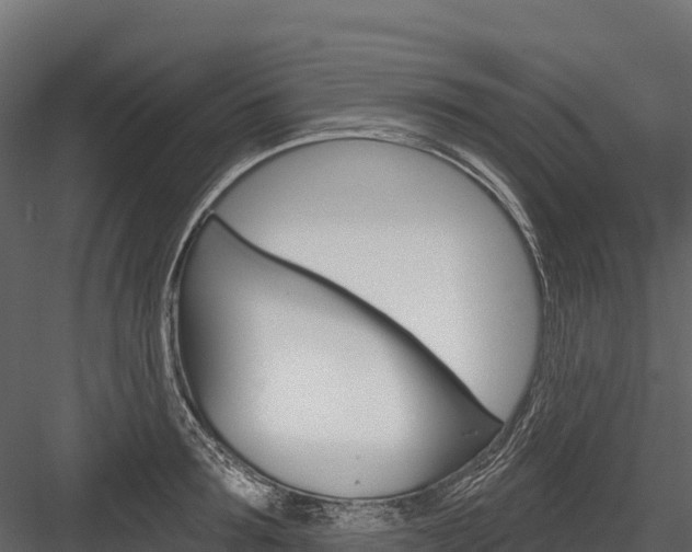 X0000084560899200702230958