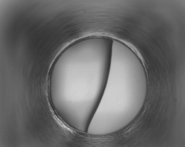 X0000084560903200702230958