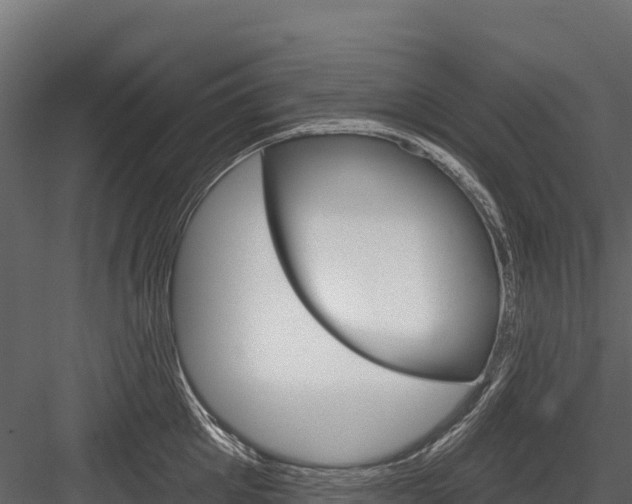 X0000084560905200702230958