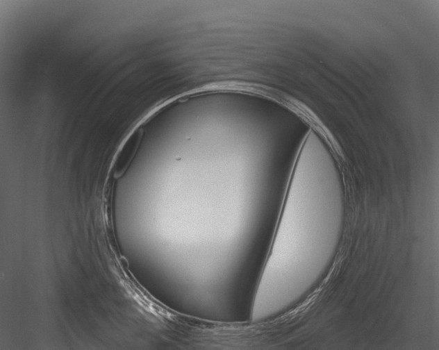 X0000084560908200702230958