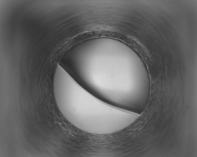X0000084560919200702230957