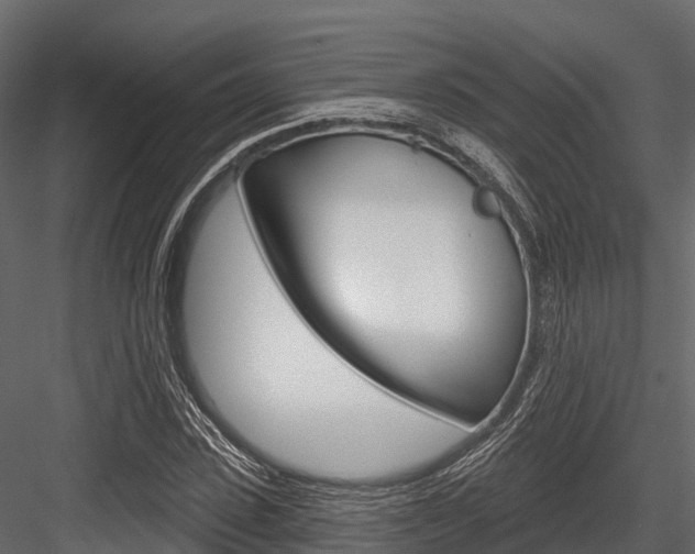 X0000084560923200702230957
