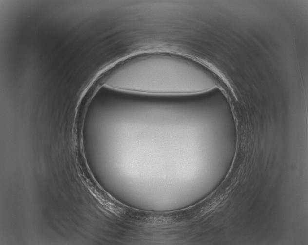X0000084560927200702230957