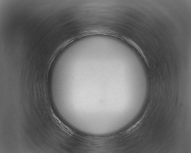 X0000084560930200702230958