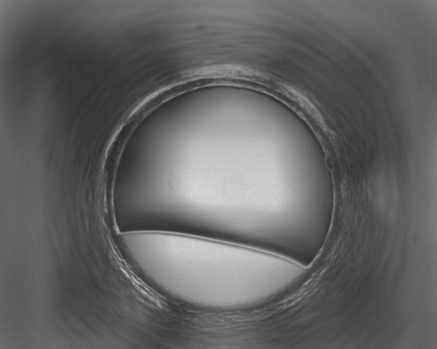 X0000084560931200702230958