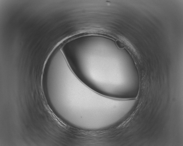 X0000084560932200702230958