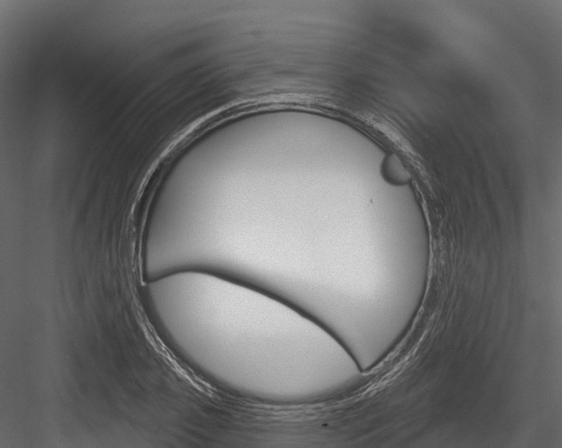 X0000084560933200702230958