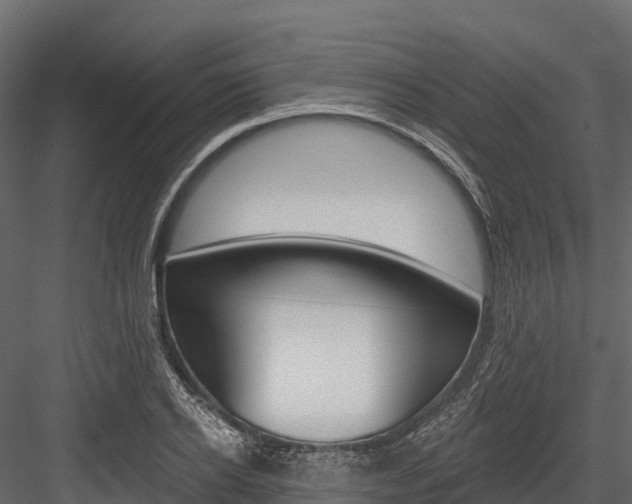 X0000084560934200702230958