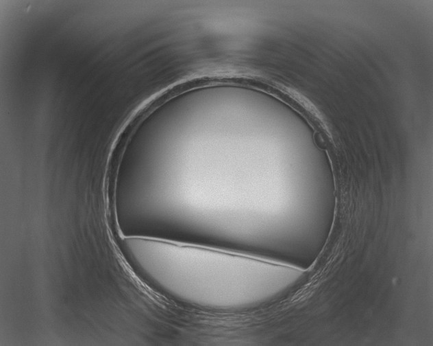 X0000084560935200702230958