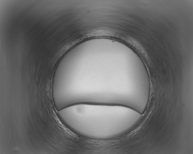 X0000084560937200702230958