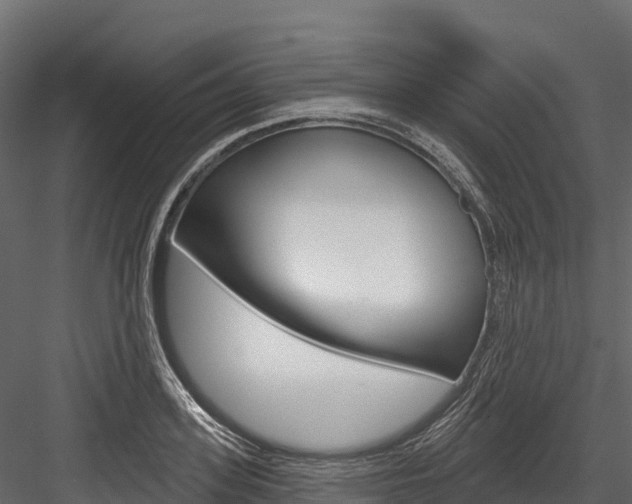 X0000084560939200702230958